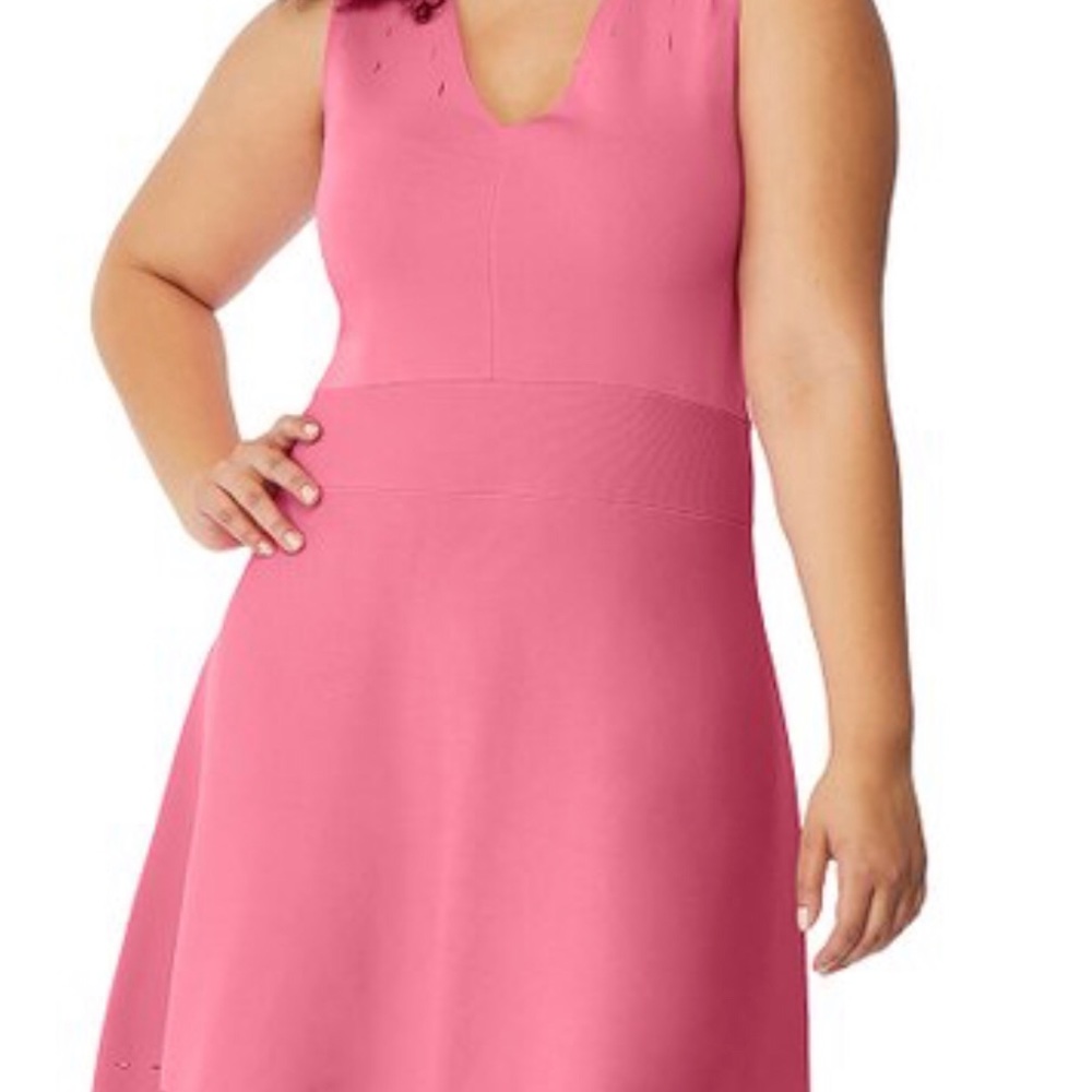 Pointelle Detail Fit & Flare Dress - Picture 1 of 2